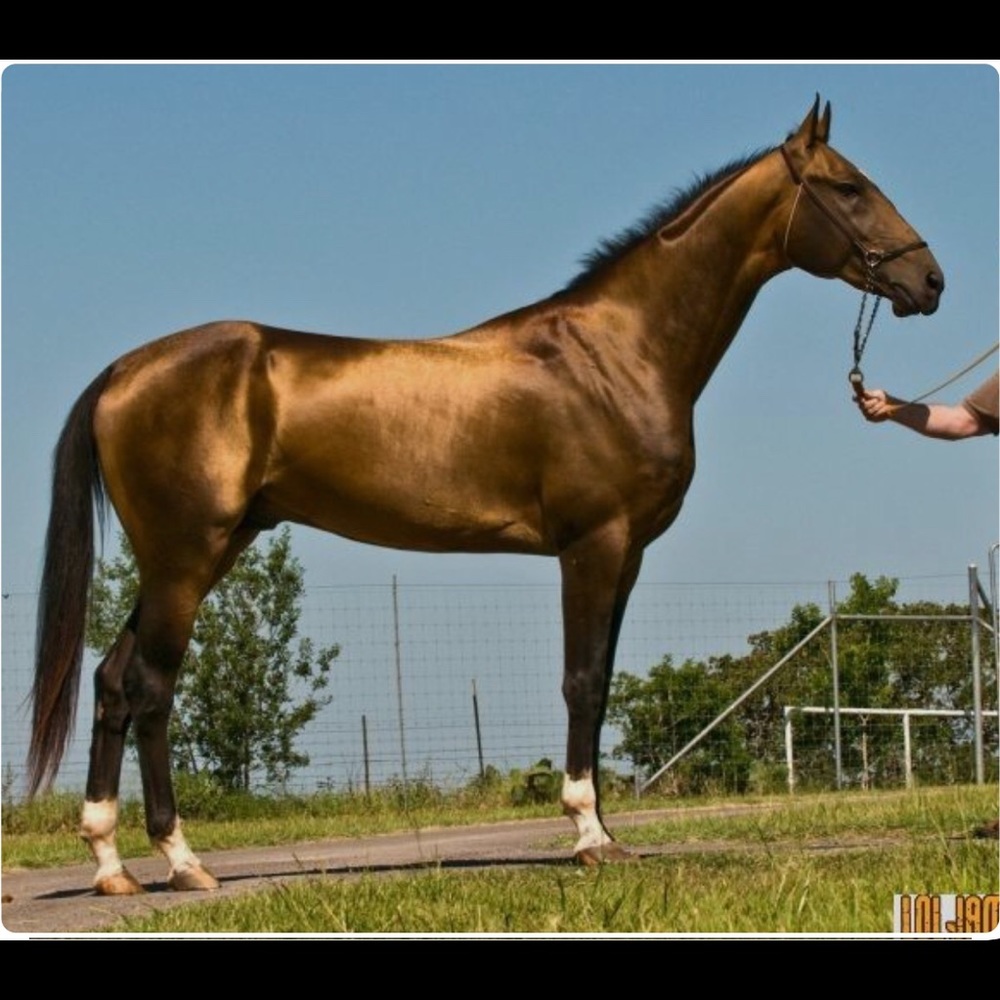 Meet your Posher, Cyriane